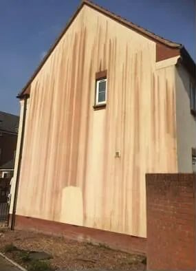 WhatsApp Image 2025-10-31 at 6.55.17 PM